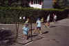 r66.jpg (72090 Byte)