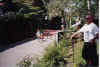 bbq70.jpg (87613 Byte)