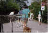 fest115.jpg (70083 Byte)