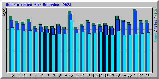 Hourly usage for December 2023