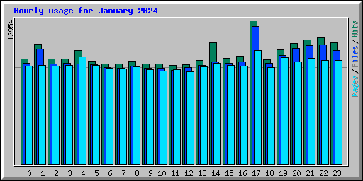 Hourly usage for January 2024