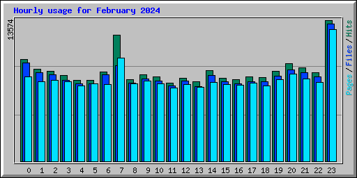 Hourly usage for February 2024