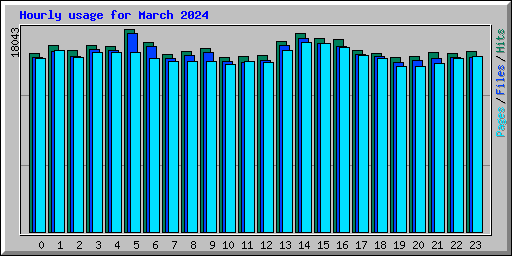 Hourly usage for March 2024
