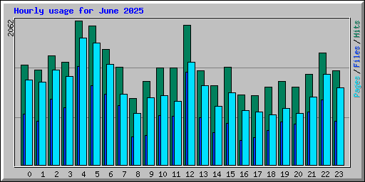 Hourly usage for June 2025