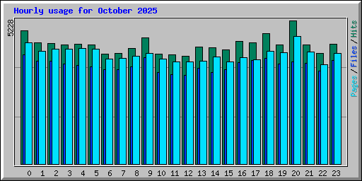 Hourly usage for October 2025