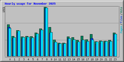 Hourly usage for November 2025